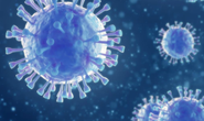 Phát hiện virus corona mới ở Thụy Điển, không biết có gây nguy hiểm cho người hay không 