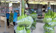Mở cửa thị trường cho trái cây Việt