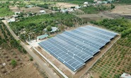 Rối với hàng trăm dự án điện mặt trời vi phạm
