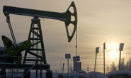 Nga dọa không cung cấp dầu, EU cấm nhập vàng Nga