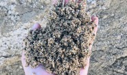 Cát nhân tạo: Giải pháp thiết thực thay thế nguồn cát tự nhiên