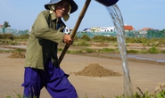 Nghề kỳ lạ, trời càng nắng như đổ lửa nông dân càng vui