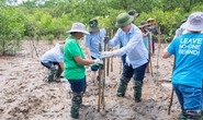 Trợ lý Tổng Thư ký Liên Hiệp Quốc lội bùn trồng rừng tại Thanh Hóa