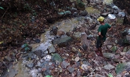 Rầm rộ khoét núi, phá rừng tìm vàng: UBND tỉnh Quảng Trị chỉ đạo nóng