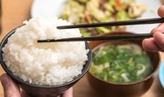 Thân thương cơm gạo mới
