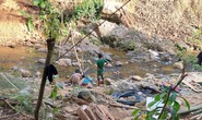 Vụ Rầm rộ khoét núi, phá rừng tìm vàng: Đề nghị nổ mìn đánh sập hầm vàng