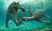 Kinh hãi hài cốt quái vật hồ Loch Ness dài 3 m dưới sông Morocco