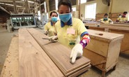 Đẩy mạnh hỗ trợ để xuất khẩu không sụt giảm