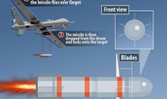 Mỹ dùng vũ khí đặc biệt gì để giết trùm Al-Qaeda?
