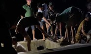Theo gia đình vợ ở Cà Mau đi đục hàu, người đàn ông quê Hậu Giang chết thảm