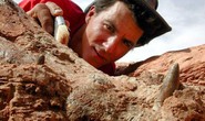 Siêu quái vật 12 m chuyên ăn thịt khủng long hiện hình ở Sahara