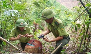 Đề nghị công an vào cuộc vụ phá rừng đầu nguồn suối La La
