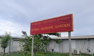 Bệnh viện mũ nồi xanh Việt Nam xây dựng Vườn thuốc nam tại Nam Sudan
