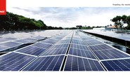 Doanh thu của LONGi tăng gần 44%