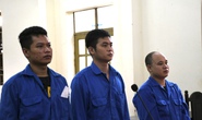 Vụ nhà dân 3 năm bị khủng bố ở Đồng Nai: 3 đối tượng lãnh án tù