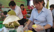 Sầu riêng Việt Nam nhận tin vui từ Trung Quốc