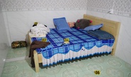 Người phụ nữ bị trói tay chân, hiếp dâm ngay tại nhà
