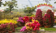 Khởi động chợ hoa xuân Bình Điền 2023