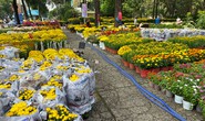 Chợ hoa kiểng Tết vắng bóng mai