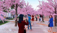 Tết Quý Mão, miền Trung có gì đặc sắc?