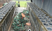 Cận cảnh những giàn pháo hoa sẵn sàng khai hỏa đêm giao thừa