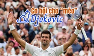 Cơ hội cho “mèo” Djokovic trong năm Mão