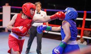 Ấn tượng giải boxing Ngôi sao Gia Định mở rộng 2023