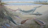 Phát hiện hài cốt thủy quái 360 triệu tuổi chuyên săn tổ tiên loài người