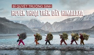 Bí quyết trường sinh: Huyền thoại trên dãy Himalaya