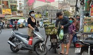 Vì sao dừa tươi rẻ bèo giữa mùa nắng nóng gay gắt?