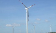 Lo phá sản, 36 nhà đầu tư điện gió gửi kiến nghị lên Thủ tướng Chính phủ