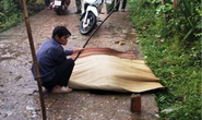 Truy tìm phương tiện tông chết người lúc rạng sáng