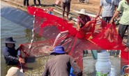 Mâu thuẫn cá nhân, ném thuốc trừ sâu xuống hồ tôm để đầu độc