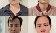 Khởi tố 4 bị can trong vụ buôn lậu cây xanh ở Hà Nội