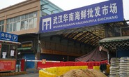 Manh mối mới về nguồn gốc COVID-19 lộ diện ở chợ Vũ Hán
