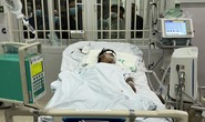 Diễn biến mới nhất vụ ngộ độc cá chép muối ủ chua ở Quảng Nam