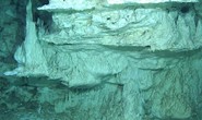 Sinh vật mới từ thế giới mất tích: Có đồng loại ngoài hành tinh?