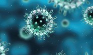 CDC: Cảnh báo virus H5N1 nhánh 2.3.4.4b lại lây thêm loài mới