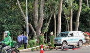 Đâm chết nghệ nhân nổi tiếng ở Đắk Lắk, người đàn ông lãnh án