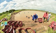 Tạo hướng đi bền vững cho ngành tôm