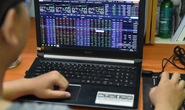 Sau thông tin Thế Giới Di Động tạm ngưng hợp tác F88, cổ phiếu đỏ lửa