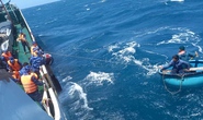 CLIP: Cận cảnh giải cứu thuyền viên gặp nạn trên biển
