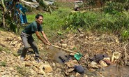 Cha vợ sát hại con rể rồi phi tang xuống suối