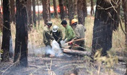 Đề nghị khen thưởng 1 tập thể, 11 cá nhân chữa cháy rừng đèo Prenn