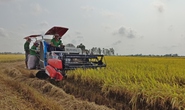 Ông lớn ngành lúa gạo ôm mộng đạt doanh thu 1 tỉ USD