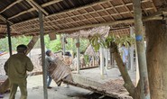 Đà Nẵng cưỡng chế loạt công trình trái phép ở bán đảo Sơn Trà