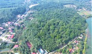 Giữ nguyên vẹn rừng lim xanh trăm tuổi