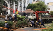 Diễn biến vụ cây xanh bật gốc đè nhiều người và xe ở trường THCS Trần Văn Ơn