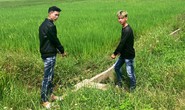Huy động công an 20 phường xã truy bắt 2 thanh niên ở Quảng Nam