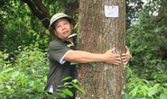 Giá trị lớn từ rừng sến Tam Quy